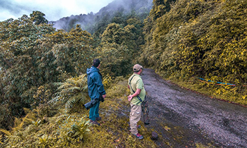 Manas National Park Tour